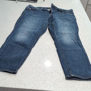 Torrid Relaxed Fit Blue Jeans